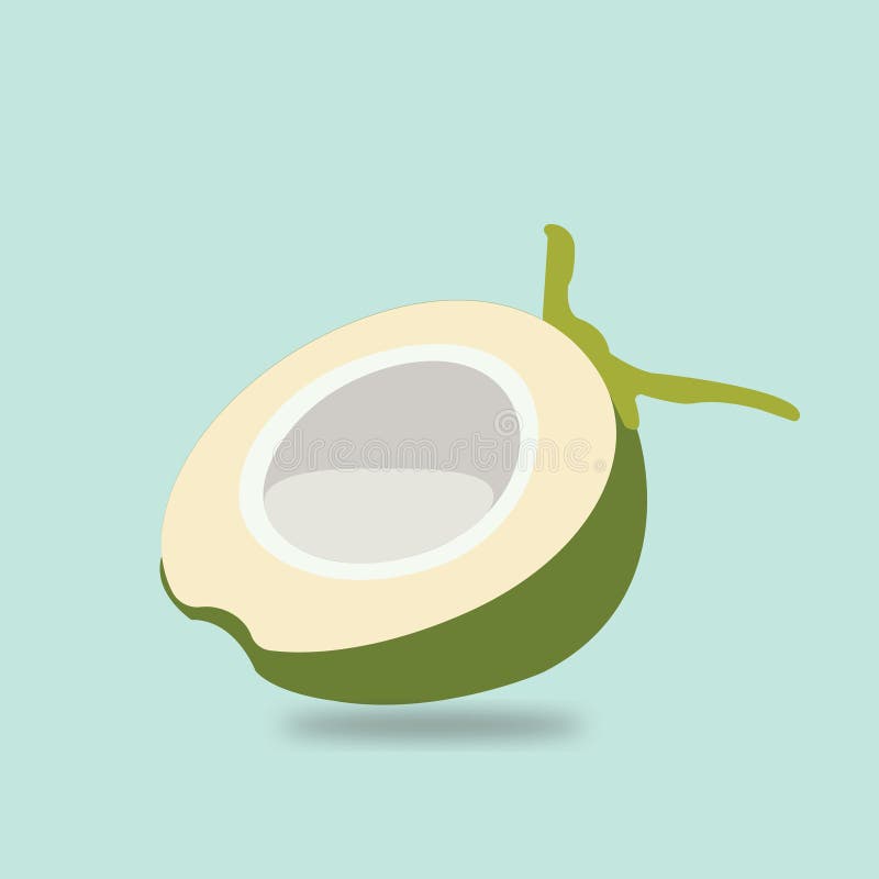 Vector de cocos frescos. coco medio verde. ilustración del vector