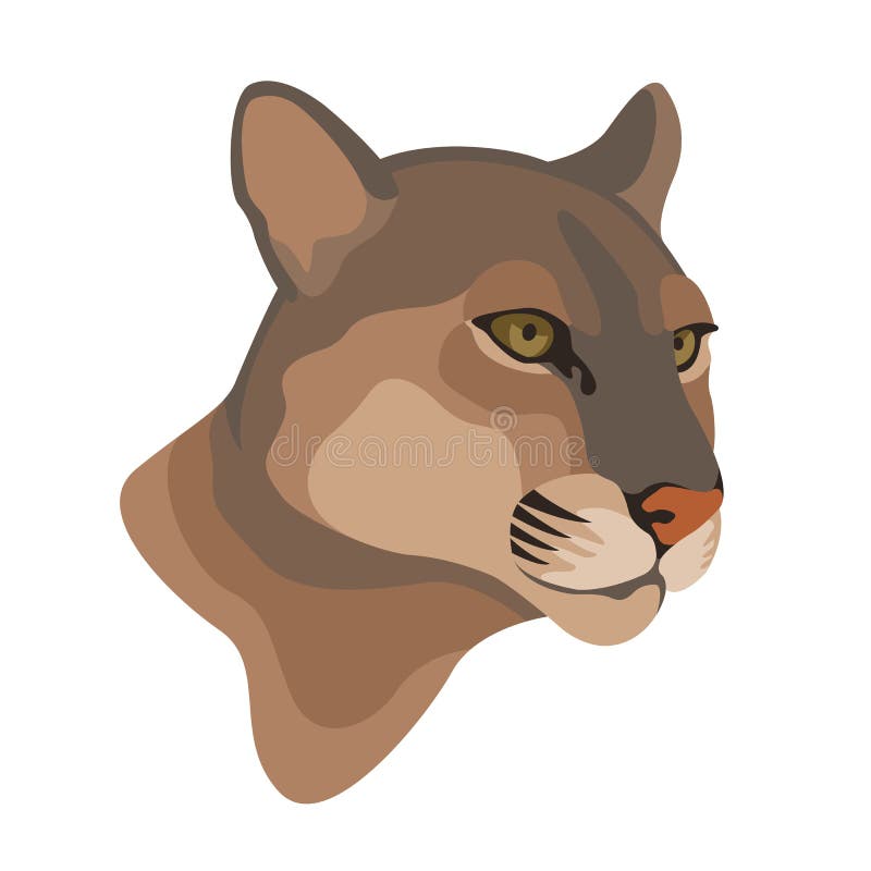 Vector De La Cabeza Del León Montaña Del Puma Ilustración del Vector - Ilustración de jaguar, negro: 79933202