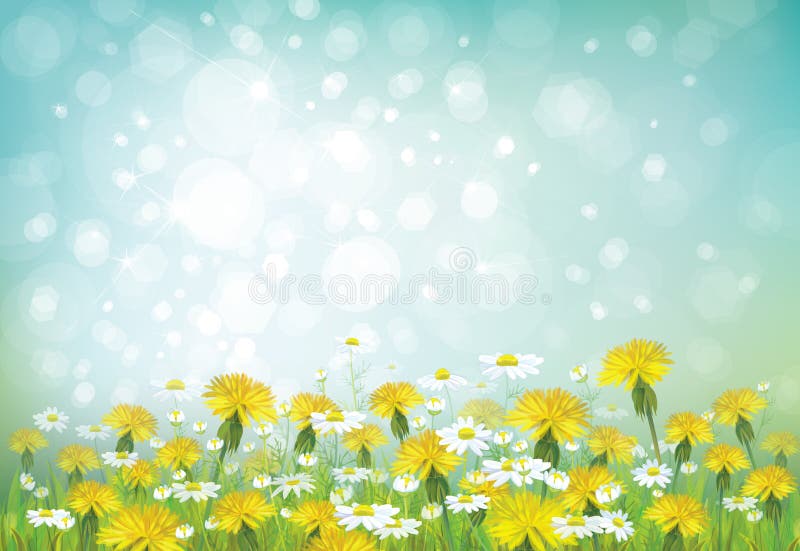 Vector de lenteachtergrond met kamilles en dande vector illustratie Vector de lenteachtergrond met kamilles en dande vector illustratie