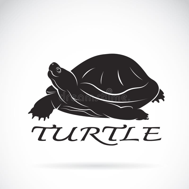 Vector de una tortuga en el fondo blanco stock de ilustración Vector de una tortuga en el fondo blanco stock de ilustración