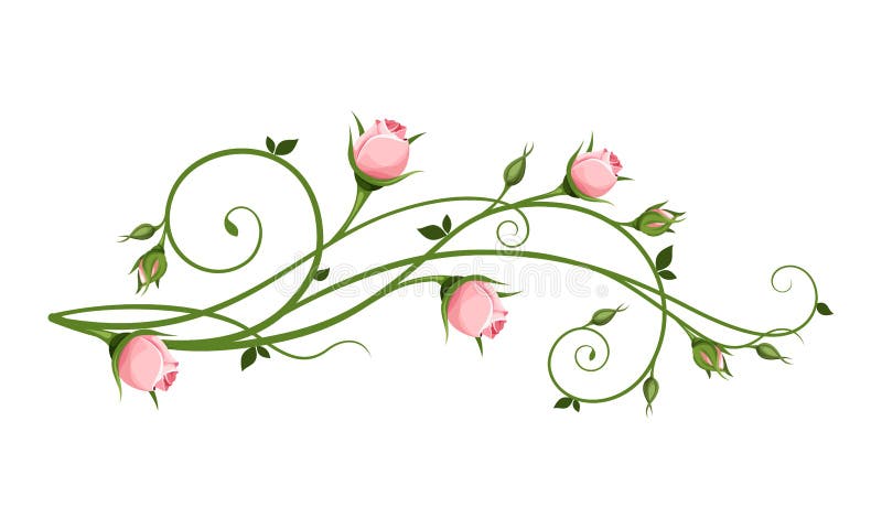 Vector decorative design element with pink rosebuds.