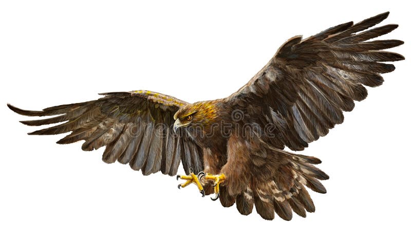 Vector del aterrizaje del águila de oro stock de ilustración