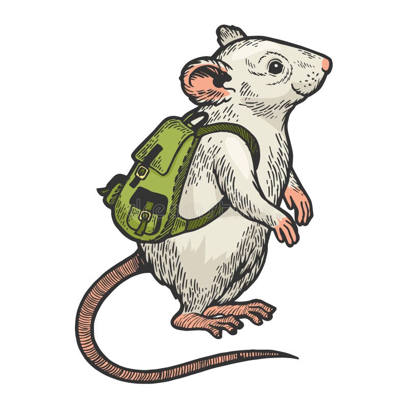Vector del bosquejo del color del ratón y de la mochila de la historieta ilustración del vector
