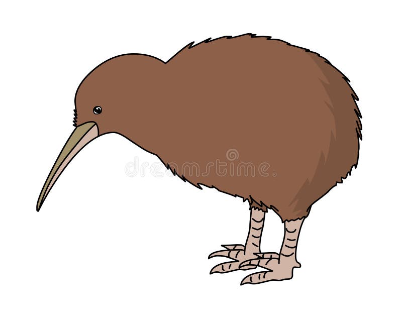 Vector del ejemplo del pájaro del kiwi Vector de la imagen de la acción del pájaro del kiwi ilustración del vector