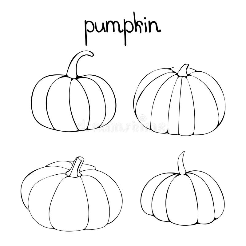 Vector del garabato fijado con las calabazas ilustración del vector Vector del garabato fijado con las calabazas ilustración del vector