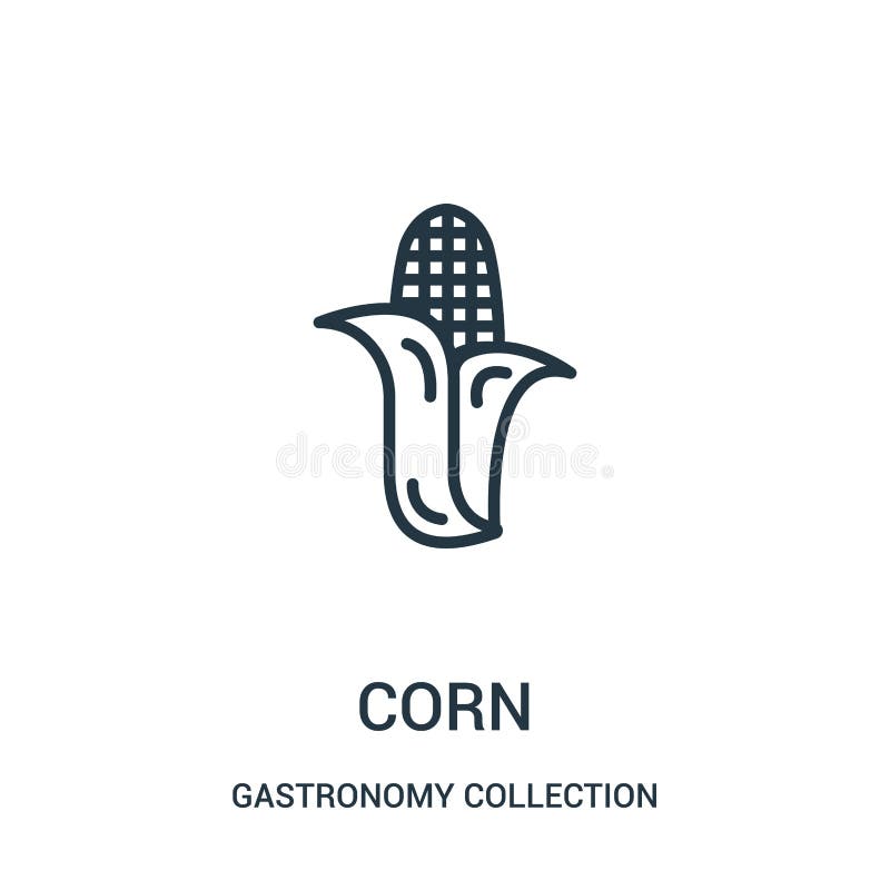 vector del icono del maíz de la colección de la colección de la gastronomía L?nea fina ejemplo del vector del icono del esquema d ilustración del vector vector del icono del maíz de la colección de la colección de la gastronomía L?nea fina ejemplo del vector del icono del esquema d ilustración del vector