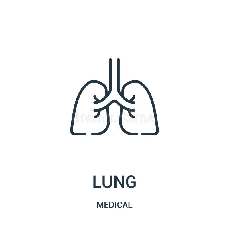 vector del icono del pulmón de la colección médica Línea fina ejemplo del vector del icono del esquema del pulmón ilustración del vector vector del icono del pulmón de la colección médica Línea fina ejemplo del vector del icono del esquema del pulmón ilustración del vector