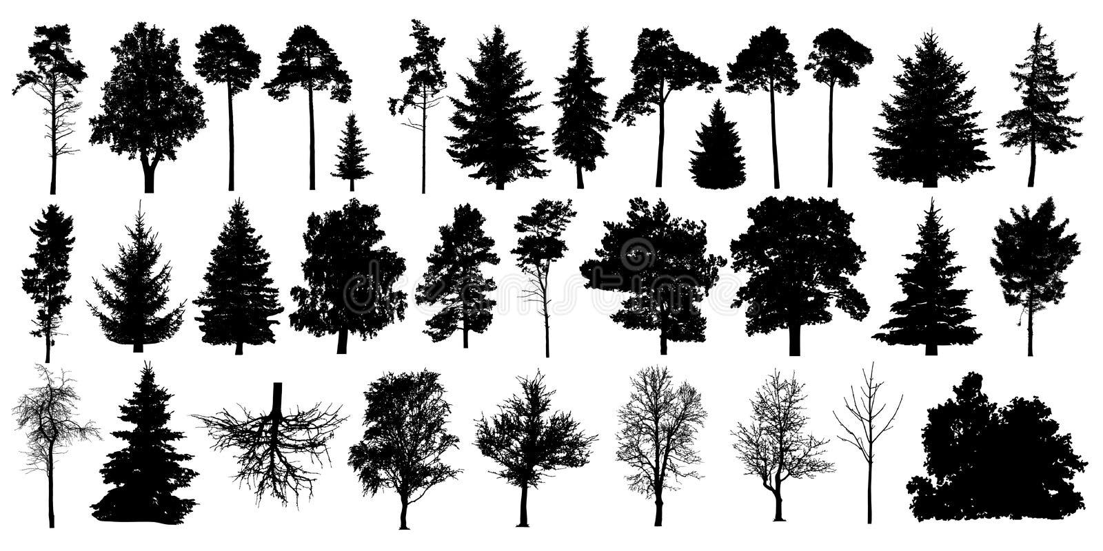 Vector del negro de la silueta del árbol Árboles forestales determinados aislados en el fondo blanco Vector del negro de la silueta del árbol Árboles forestales determinados aislados en el fondo blanco