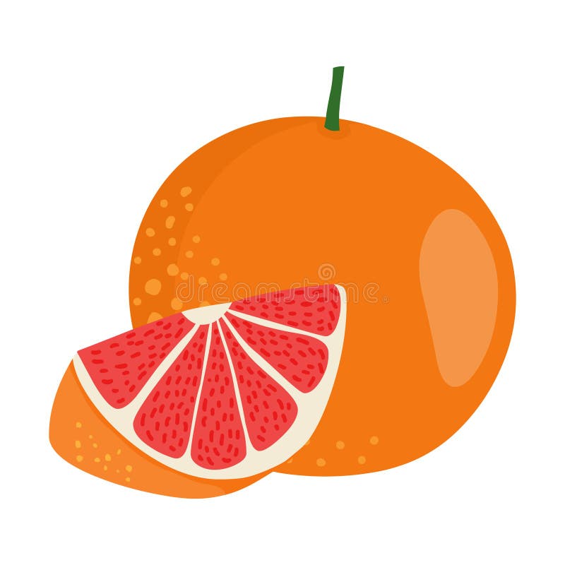 Pomelo Ilustraciones Stock, Vectores, Y Clipart (25,381 Ilustraciones