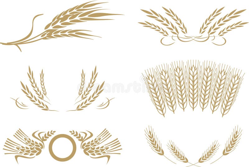 Vector del trigo stock de ilustración