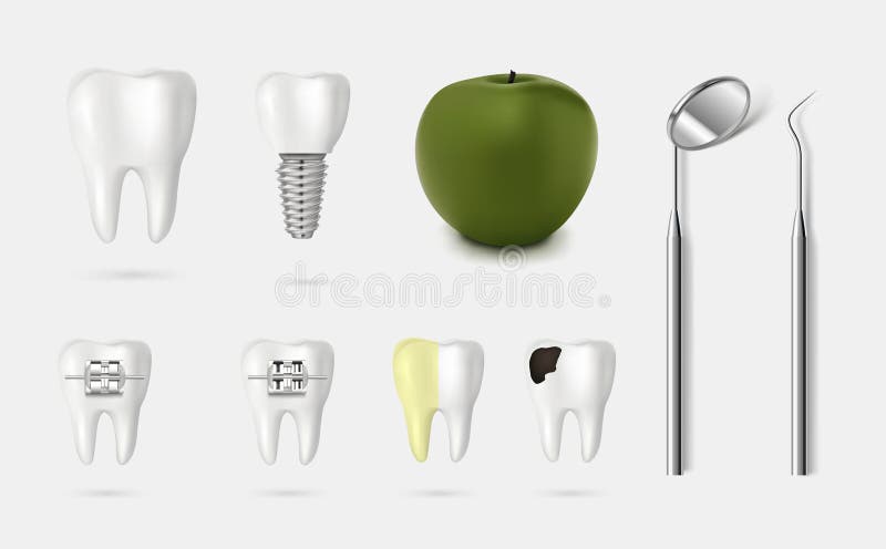 Vector dental tooth illustration 3d style royalty free illustration