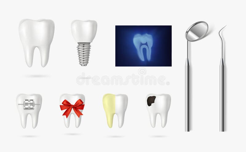 Vector dental tooth illustration 3d style royalty free illustration