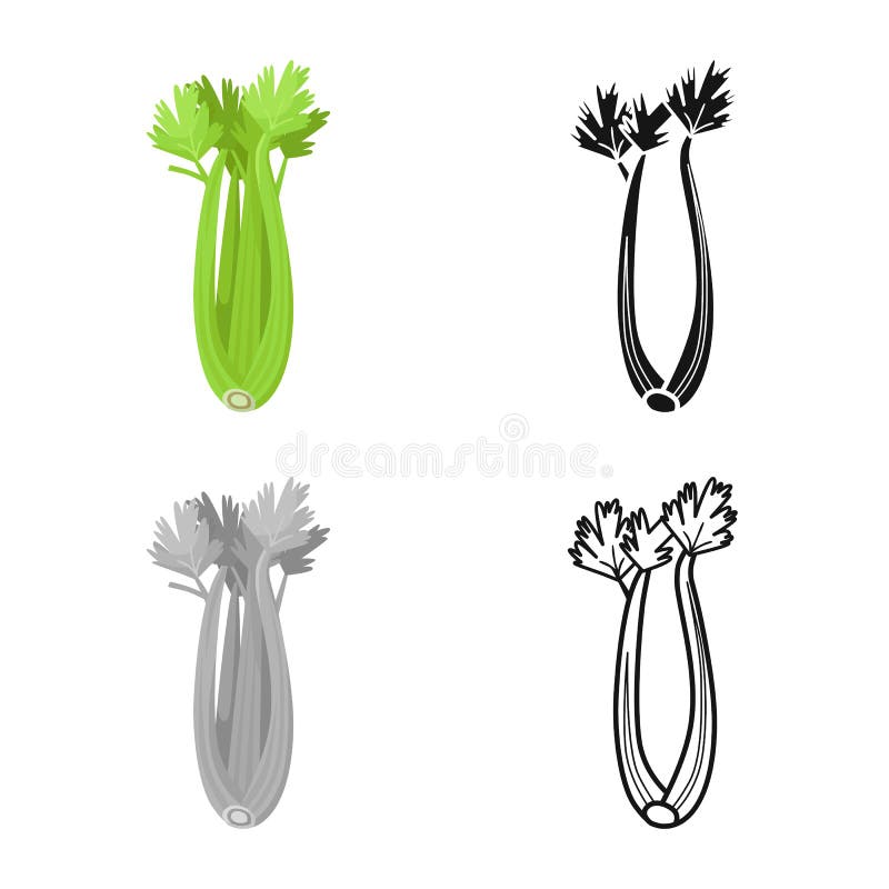 Vector design of celery and bunch symbol. Graphic of celery and stick vector icon for stock. royalty free illustration