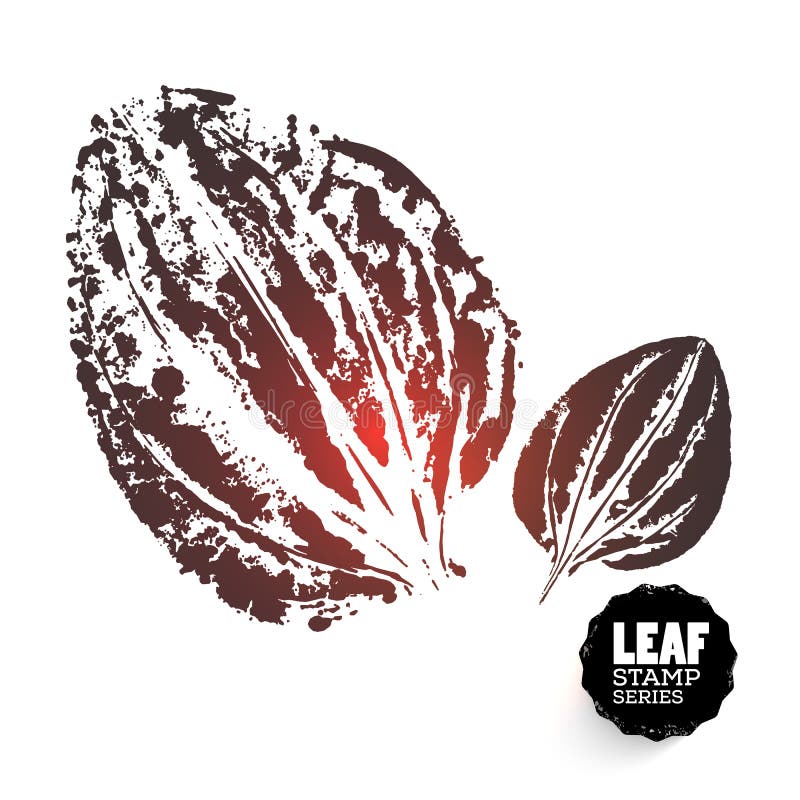 Vector design plantain leaf vector illustration