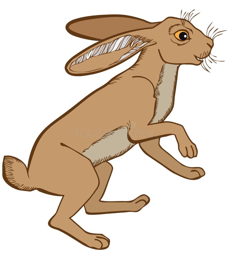 Vector die Illustration von Hasekaninchenbuntem lokalisiert auf weißem Hintergrund lizenzfreie abbildung Vector die Illustration von Hasekaninchenbuntem lokalisiert auf weißem Hintergrund lizenzfreie abbildung