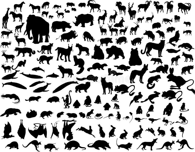 Vector dieren stock illustratie Vector dieren stock illustratie