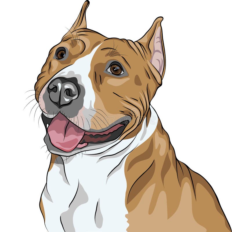 Download Vector Dog American Staffordshire Terrier Smiles Stock ...