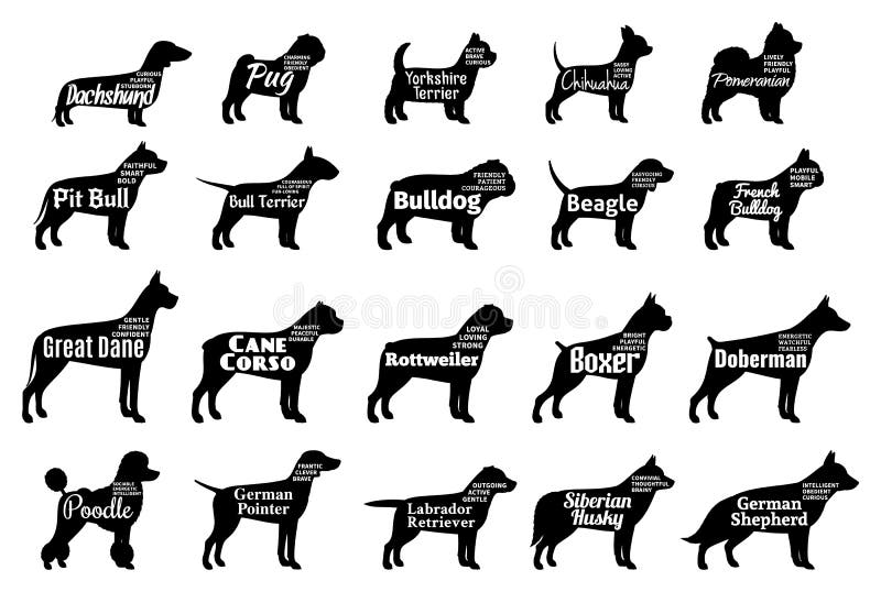 Vector dog silhouettes collection on white. Dogs breeds