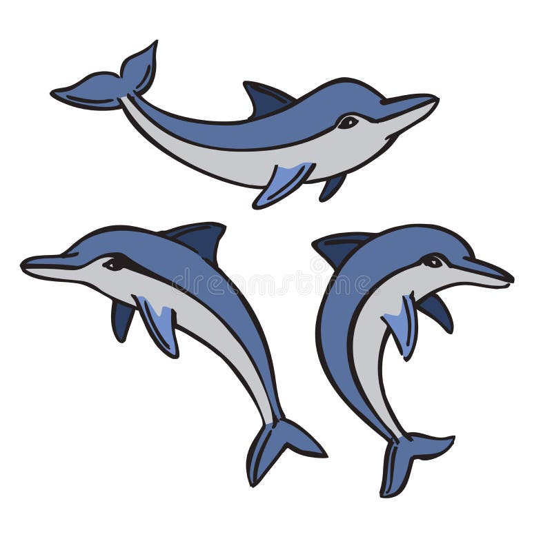 Vector dolphin set vector illustration Vector dolphin set vector illustration