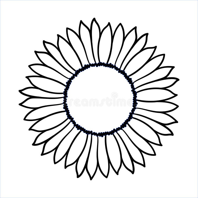 Doodle Sunflower Stock Illustrations – 5,376 Doodle Sunflower Stock  Illustrations, Vectors & Clipart - Dreamstime