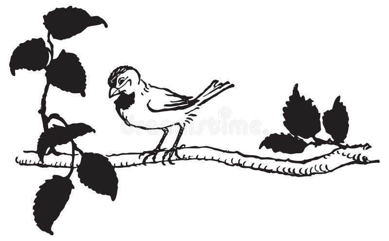 Vector drawing of bird perched on tree branch royalty free illustration