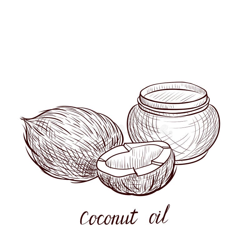 Vector drawing coconut oil stock vector. Illustration of drawing