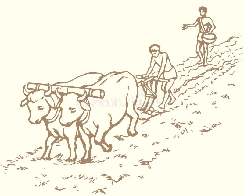 Discover 148+ simple indian farmer drawing best