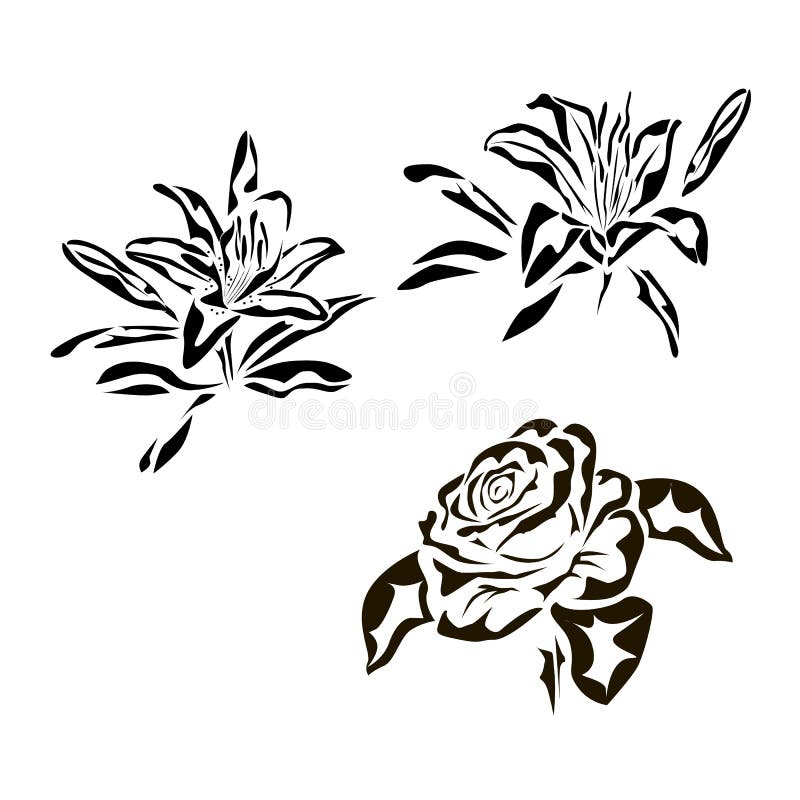 3d Flower Temporary Tattoo For Women Girls Beauty Lily Rose Tattoo Sticker  Fake Tiger Blossom Orchid Peony Blooming Tatoos Black  Temporary Tattoos   AliExpress