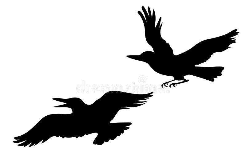 Vector drawing two ravens