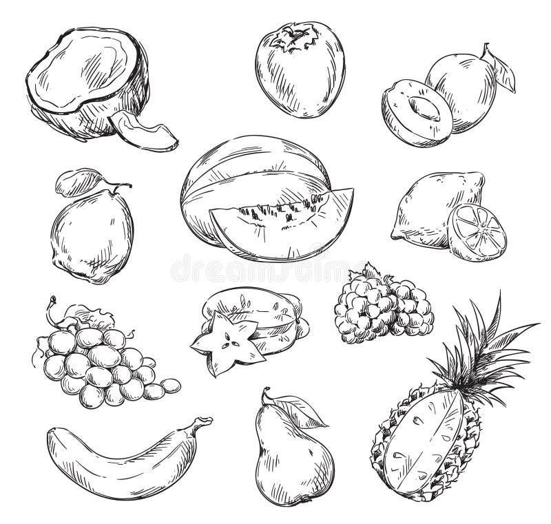 Fruit Clipart Drawings