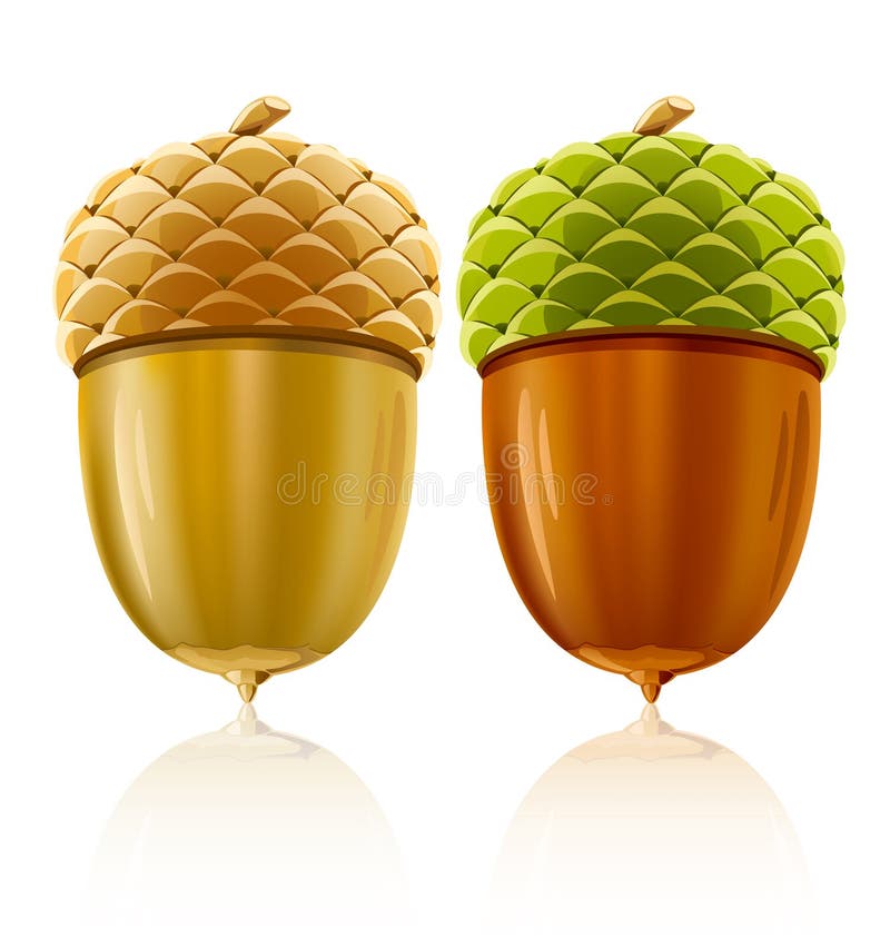 Vector eikelnoten royalty-vrije illustratie Vector eikelnoten royalty-vrije illustratie
