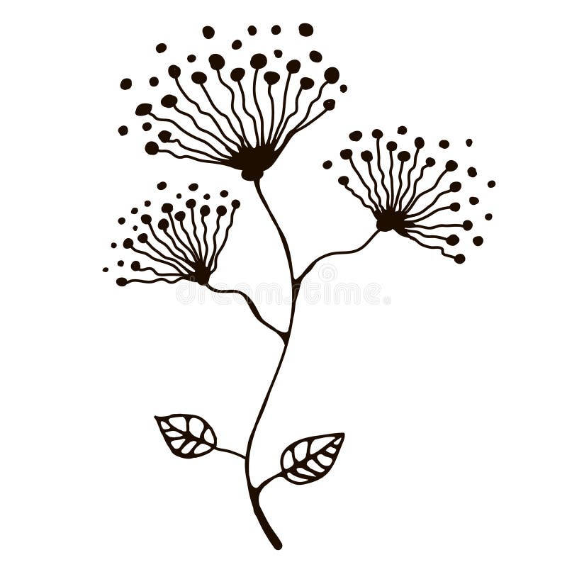 Ilustración vectorial de una flor dibujada a mano con hojas ilustración del vector