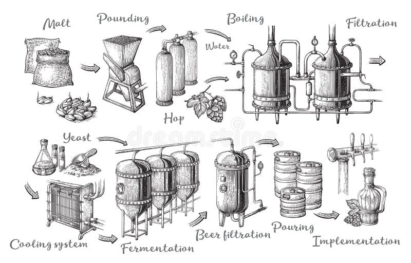 Vector el infographics de la cerveza con los ejemplos del proceso de la cervecería