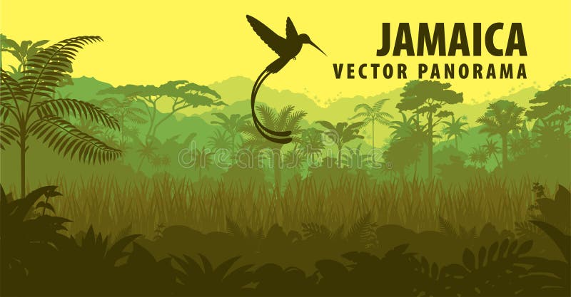 Vector el panorama de Jamaica con la selva y el colibrí ilustración del vector Vector el panorama de Jamaica con la selva y el colibrí ilustración del vector