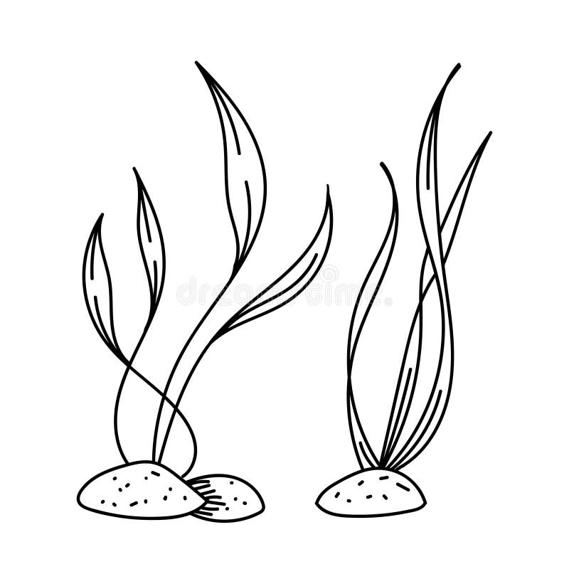 Vector Element, Black and White Picture of a Marine Inhabitant, Algae