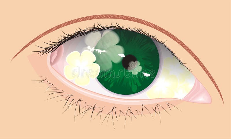 Vector eye with flower shadow inside