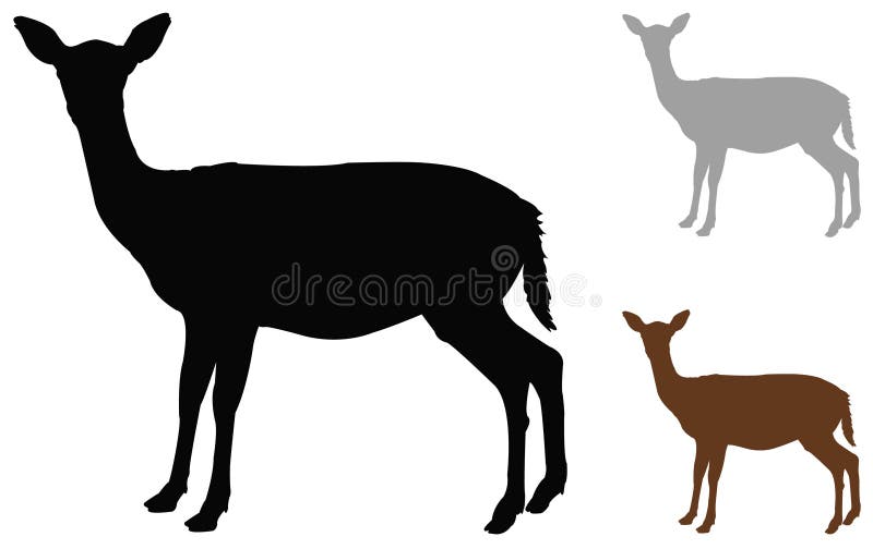 Doe or deer silhouette - hoofed ruminant mammal