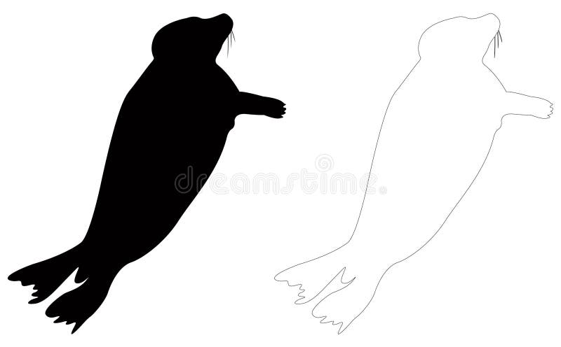 Seals or pinnipeds silhouette - semiaquatic marine mammals stock illustration Seals or pinnipeds silhouette - semiaquatic marine mammals stock illustration
