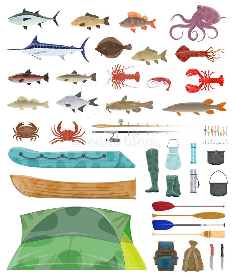 Fishing Equipment stock vector. Illustration of linear - 72688021