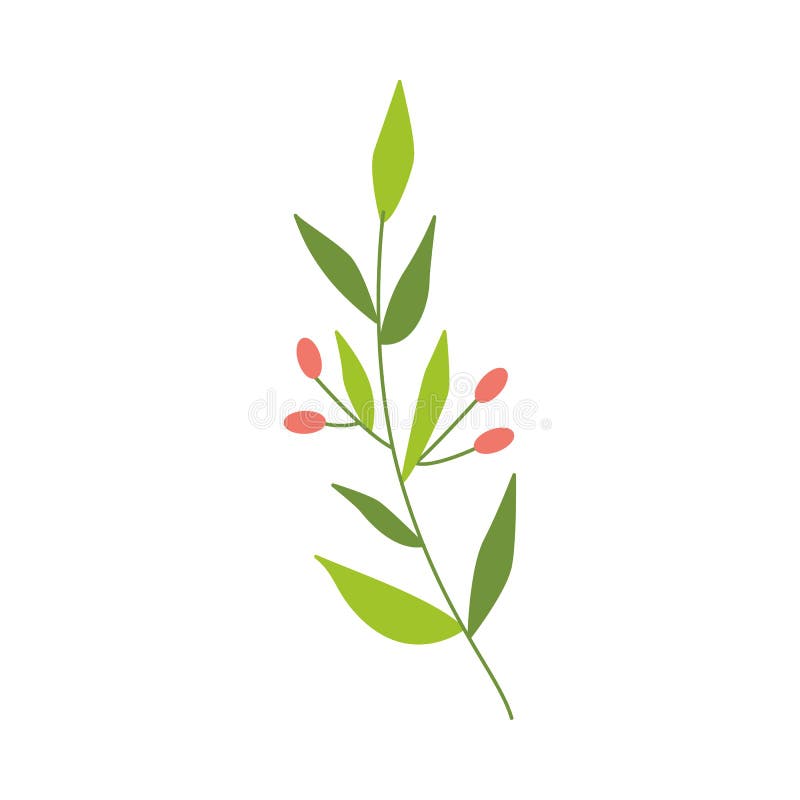 Vector flat abstract green plant with berry icon royalty free illustration Vector flat abstract green plant with berry icon royalty free illustration