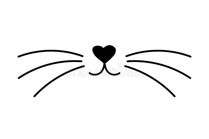 cat whiskers png