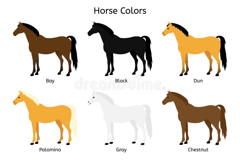 dun horse stock illustrations – 47 dun horse stock