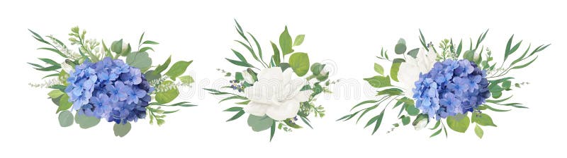 Vector floral bouquet design: blue hydrangea flower, garden peon