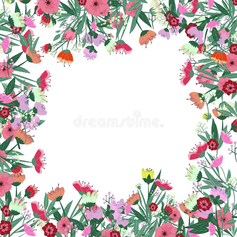 Vector Floral Frame. Flowers Arrange in Border on White Background