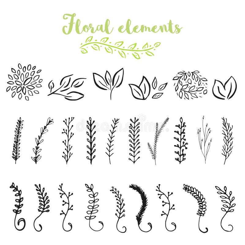 Vector Floral with Leaves, Branches, Plant Elements Stock Illustration