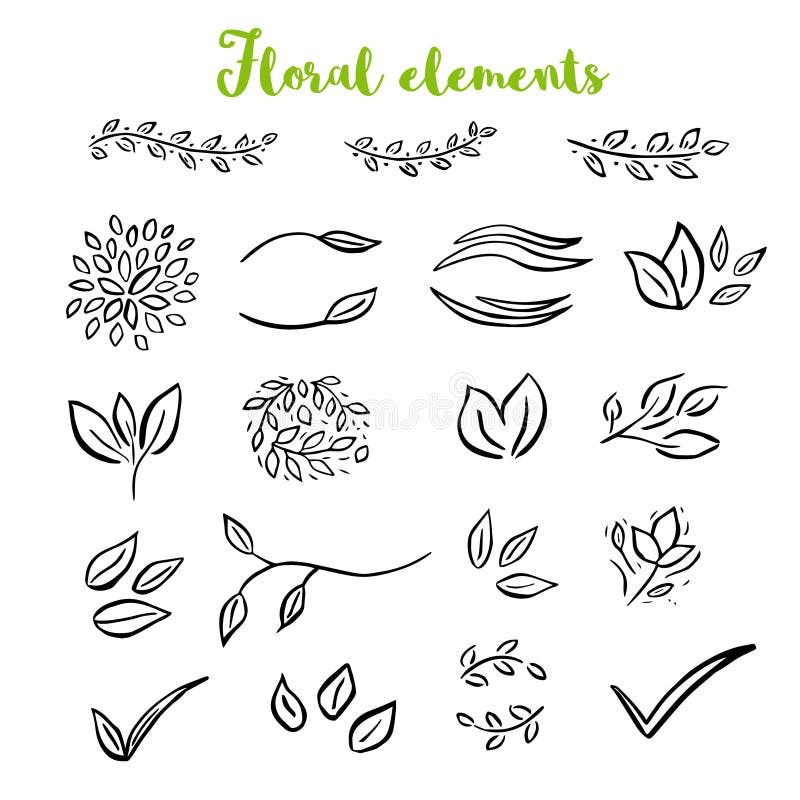 Vector Floral with Leaves, Branches, Plant Elements Stock Illustration
