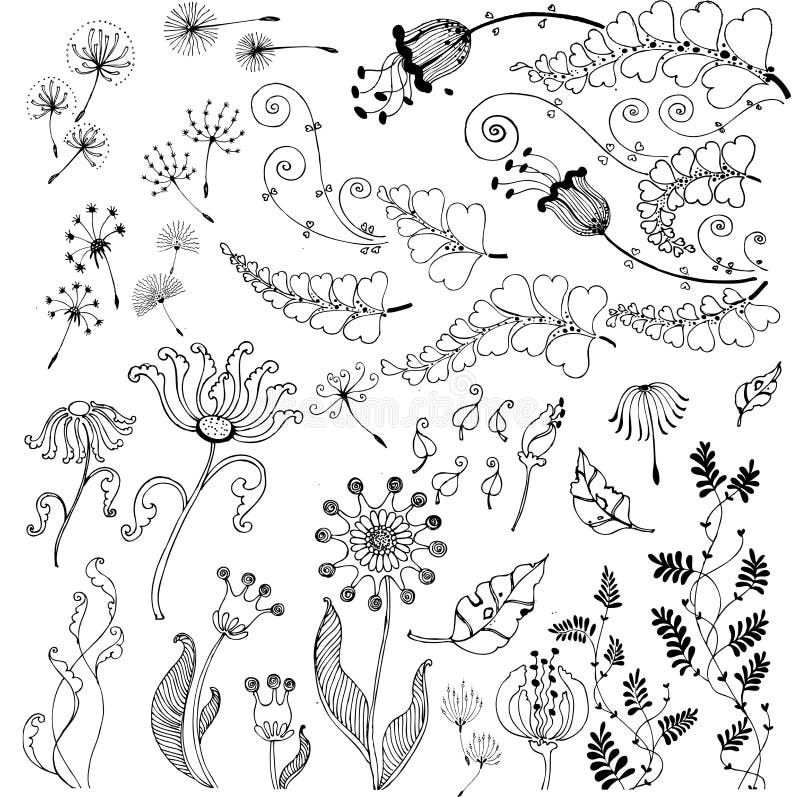 Vector floral set.