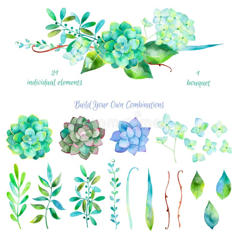 Vector floral set. Colorful floral collection with leaves and flowers