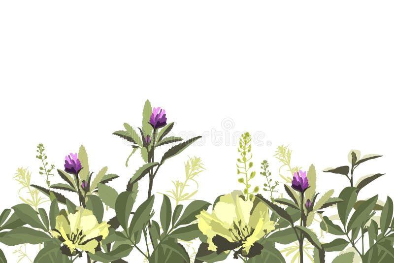 Vector Floral Sin Costuras Patrón Borde Con Amarillo Y Púrpura Flores Verde  Hierbas Hojas. Ilustración del Vector - Ilustración de floral, modelo:  204705442