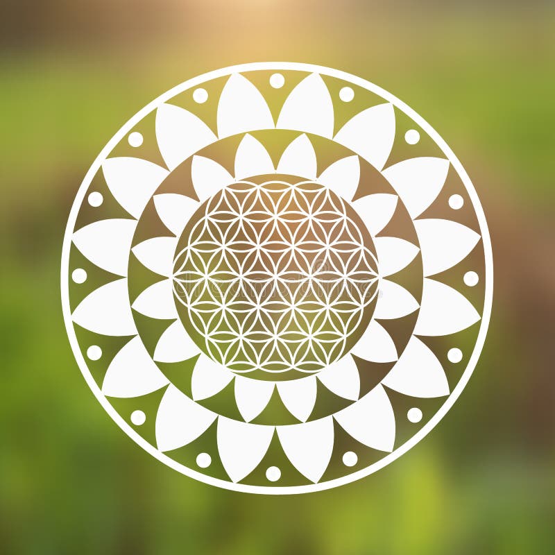 Vector Flower of Life Symbol and Lotus Flower on a Natural Background vector illustration